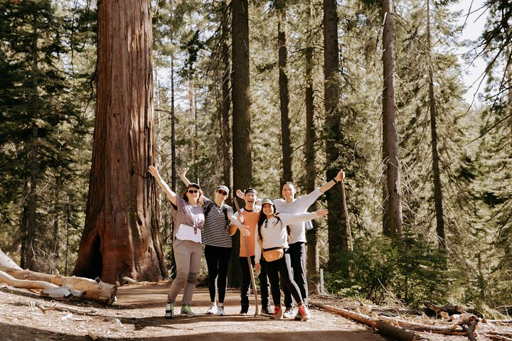 Yosemite National Park & Giant Sequoias 2-Day Semi-Guided Tour - Photo 1 of 25